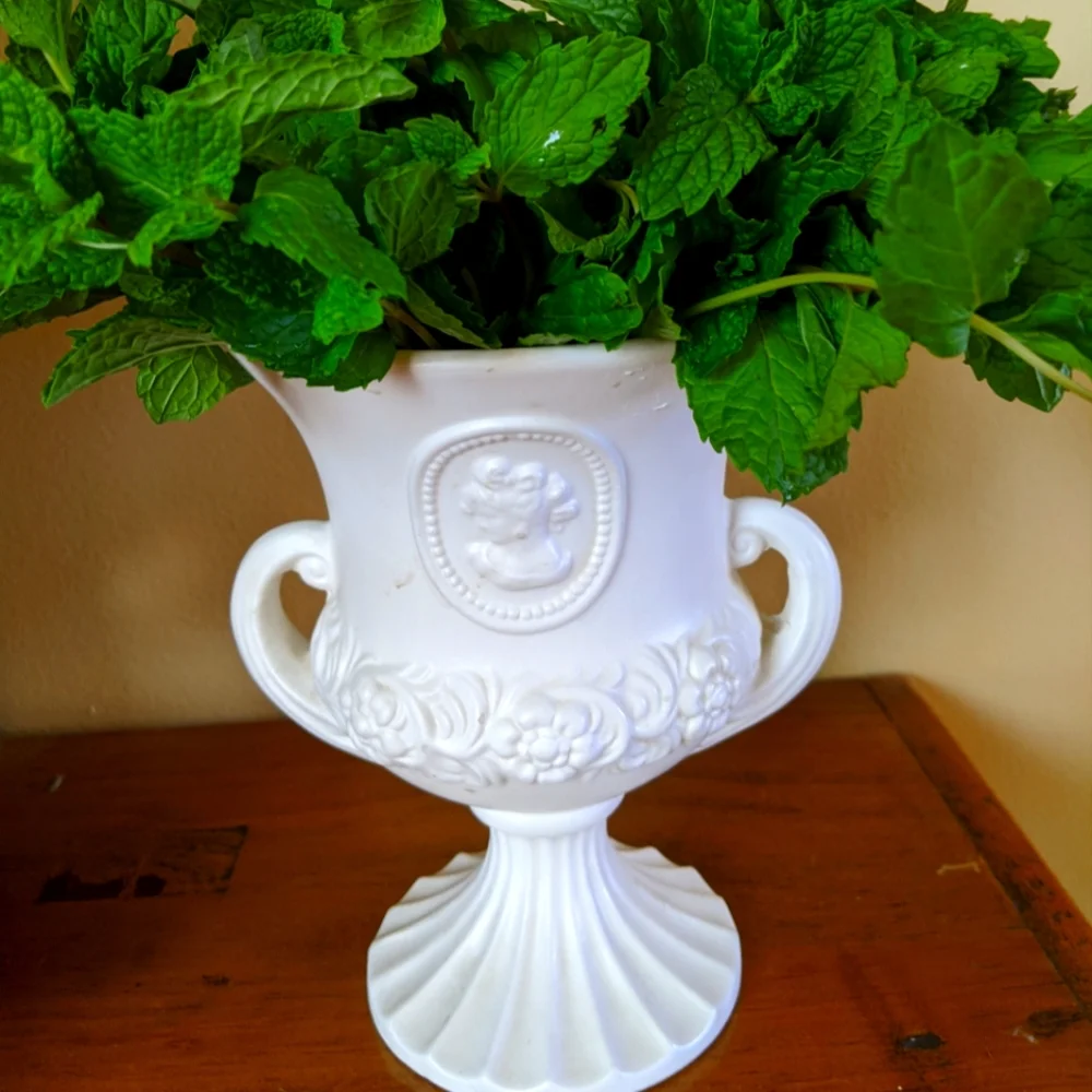 White Classical Urn-Shaped Vase with Handles Bisque Cameo - Picture 1 of 1